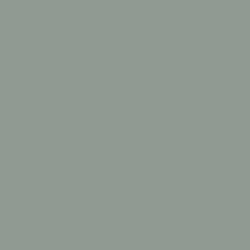 BS381-694 Dove Grey Aerosol Paint